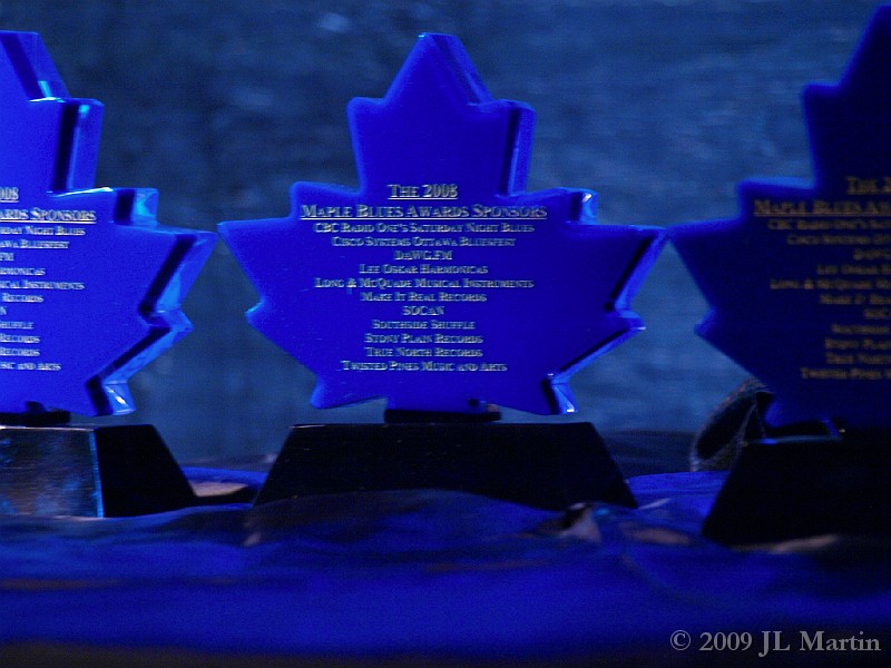 162Maple Blues Awards_01192009.JPG